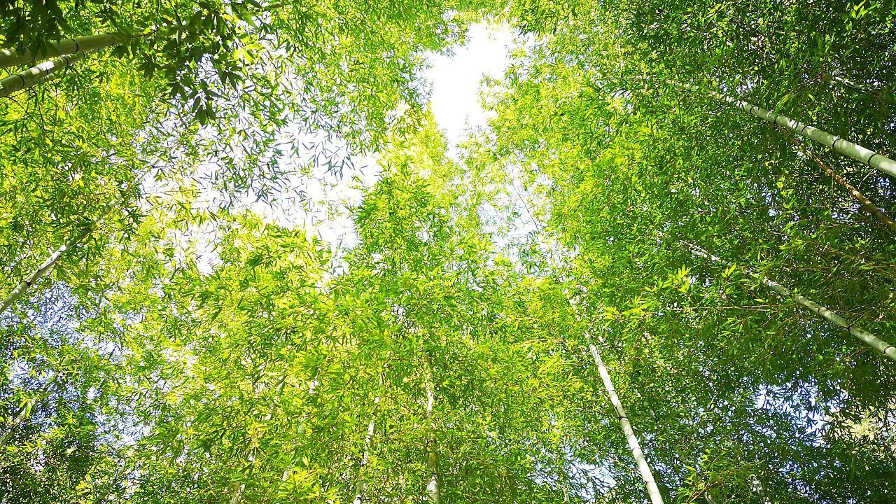 Yugashima Tatsuta Hotel Ukuszu Kültér fotó